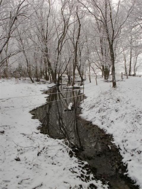 SnowagainJan2011013.jpg