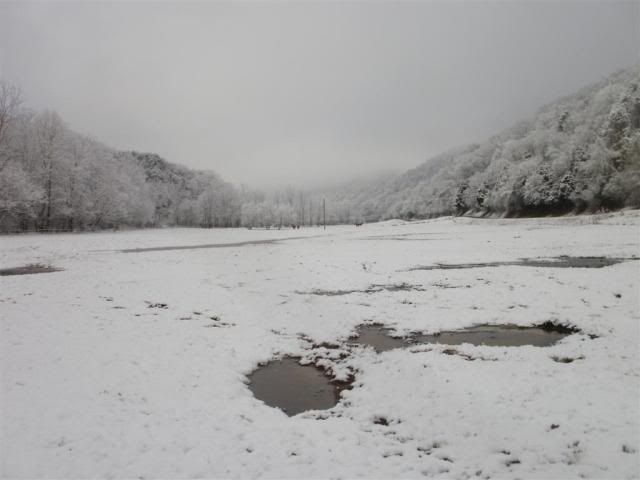 SnowagainJan2011051.jpg
