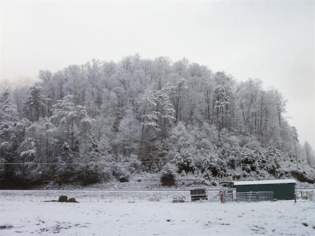 SnowagainJan2011060.jpg