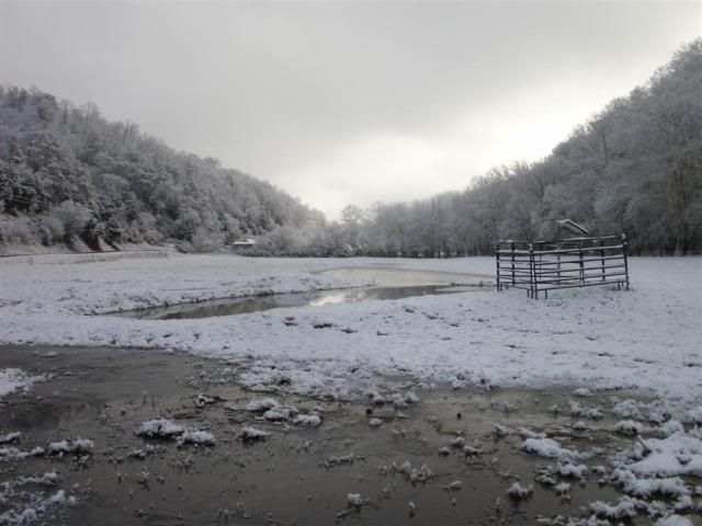 SnowagainJan2011065.jpg
