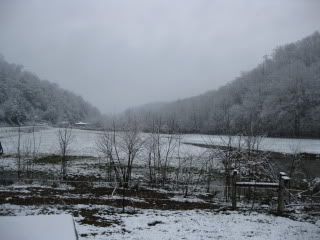 Snowpuppies112.jpg