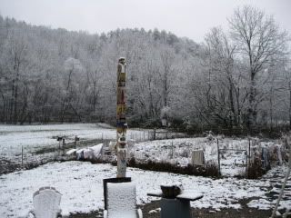 Snowpuppies113.jpg