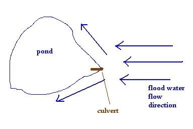 ponddrawing.jpg