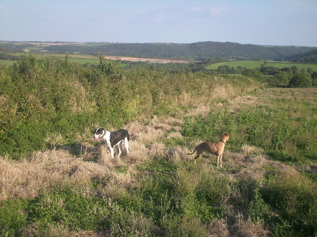 PICT0022.jpg