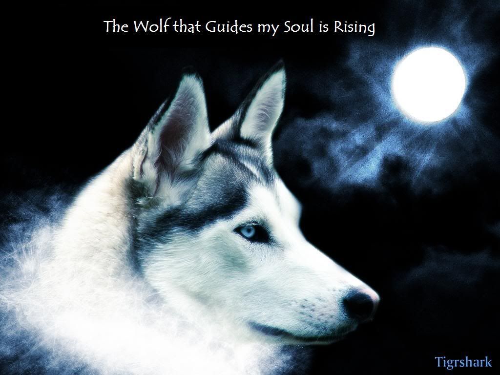 Wolf Soul