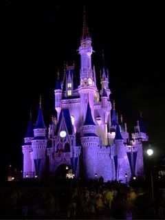 cinderella castle Pictures, Images and Photos