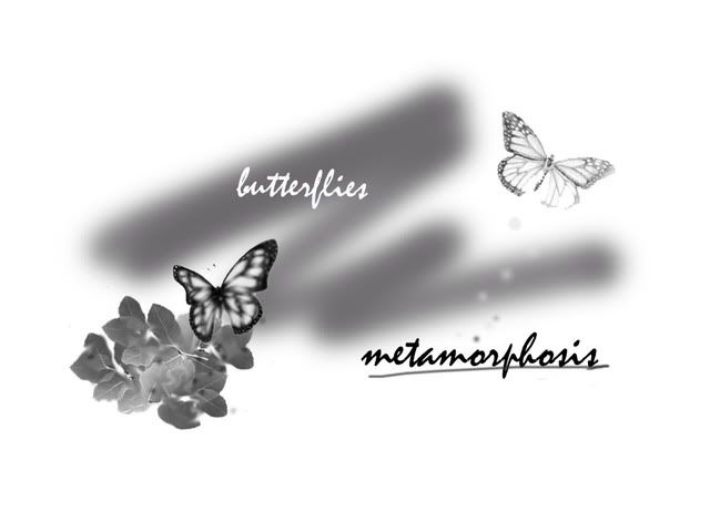 butterflies-metamorphosis