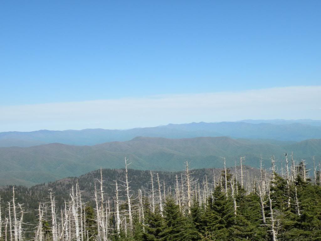 miscellaneous NE Tennessee pics... (Bristol, Gray to buy, living in