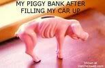 http://i271.photobucket.com/albums/jj146/grahaam/piggy_bank_thumb.jpg
