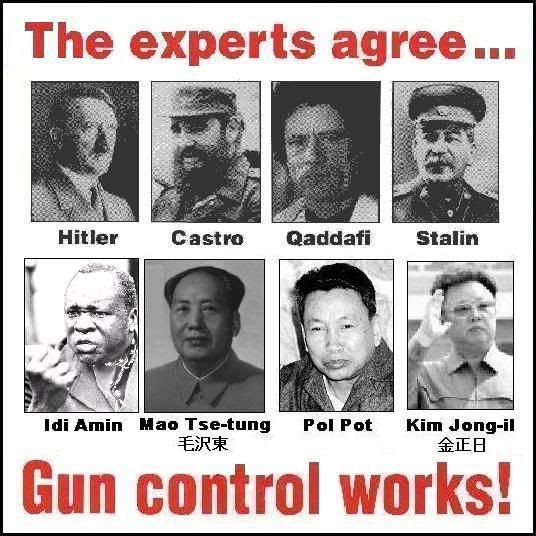 gun control. Gun Control Works Graphic