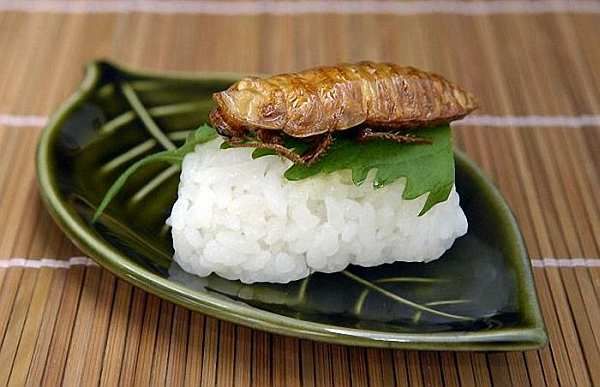 http://i271.photobucket.com/albums/jj147/leretserge/cuisine-asie.jpg
