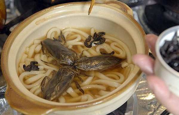 http://i271.photobucket.com/albums/jj147/leretserge/cuisine-japon.jpg