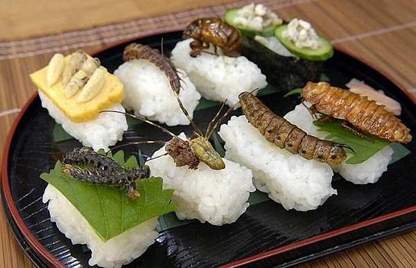 http://i271.photobucket.com/albums/jj147/leretserge/cuisine-japonaise.jpg