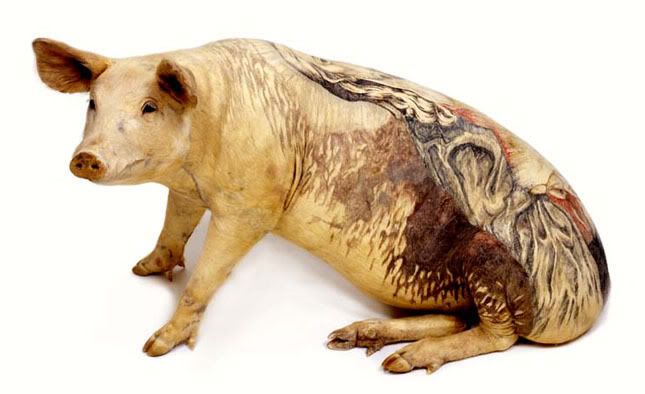 http://i271.photobucket.com/albums/jj147/leretserge/delvoye-cochon-empaille.jpg