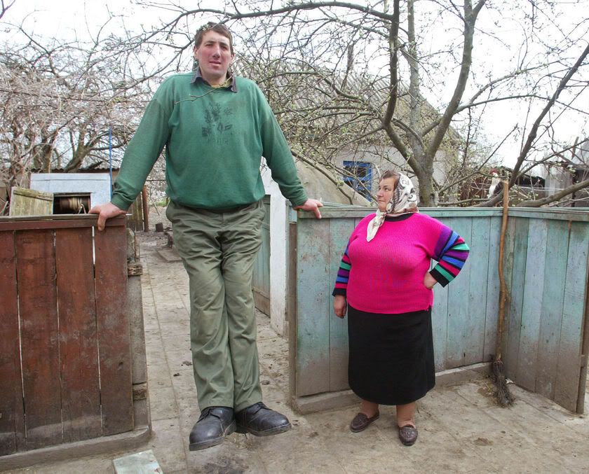 leonid stadnyck the tallest man in the world