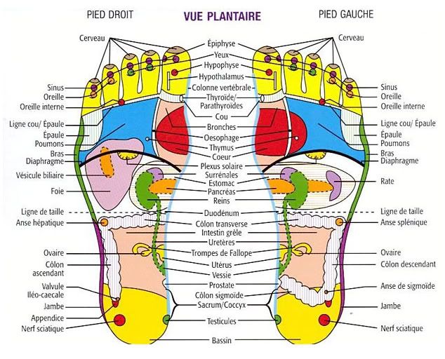 massage pied Chine reflexologie