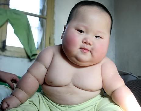 baby obese chinois