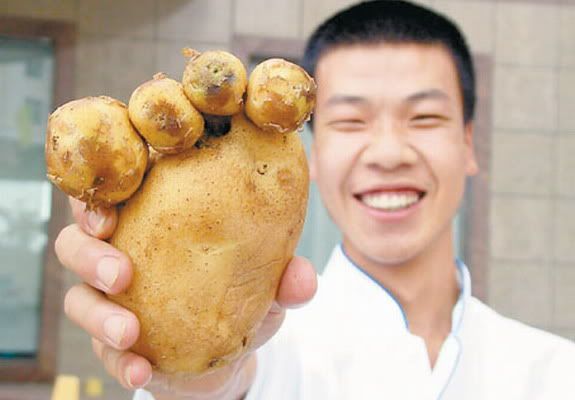http://i271.photobucket.com/albums/jj147/leretserge/pied-patate.jpg