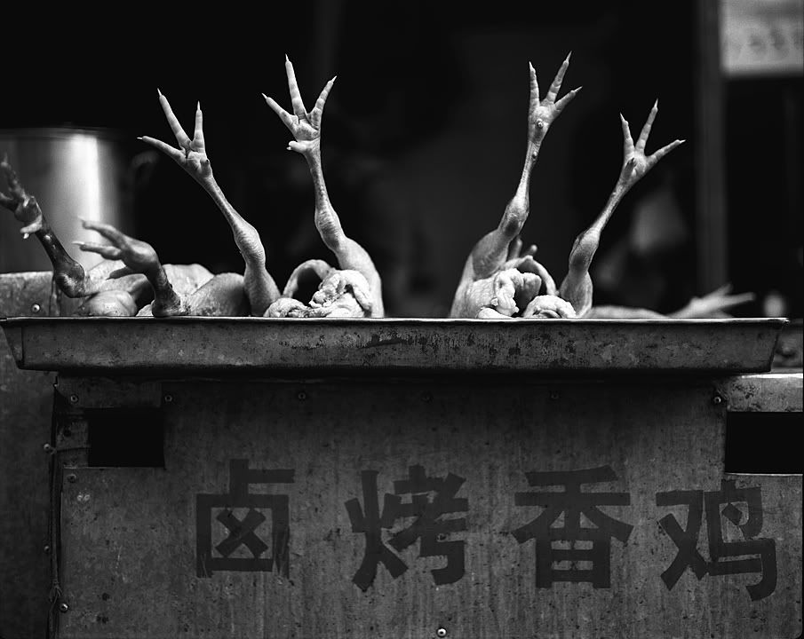 pied de poule chine
