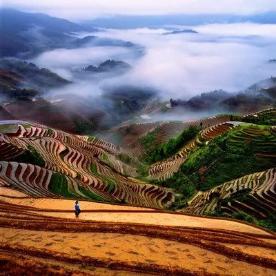 Rizieres en terrasses de Longji Sud Chine