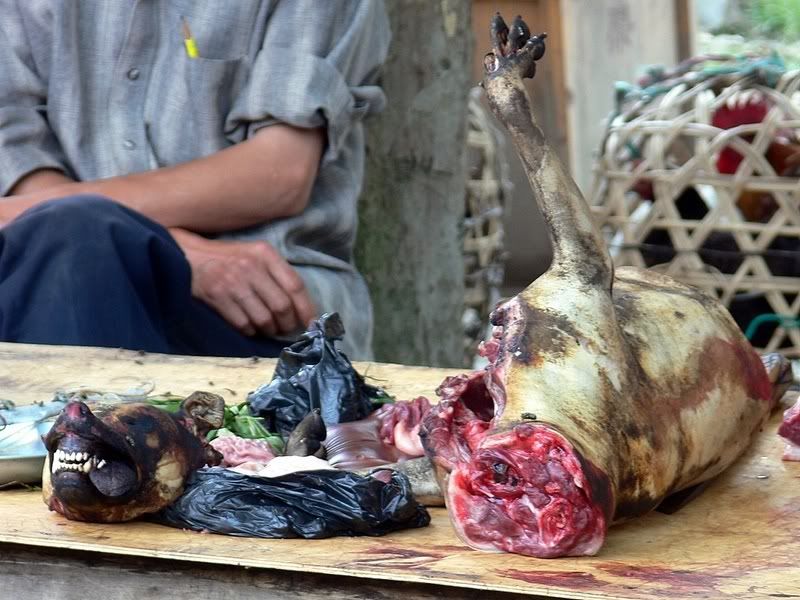 http://i271.photobucket.com/albums/jj147/leretserge/viande-chien.jpg