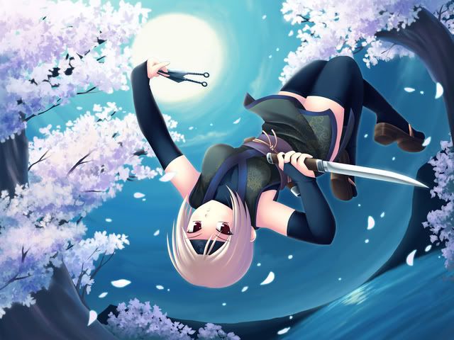 ninja.jpg anime ninja girl image by Toushi_girl
