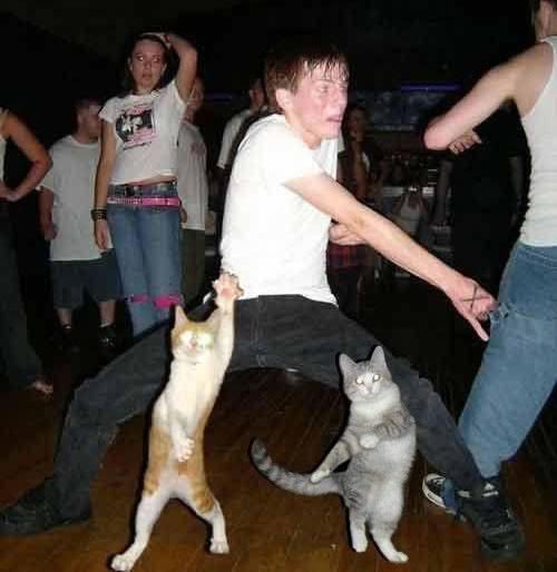 dancing-with-cats.jpg