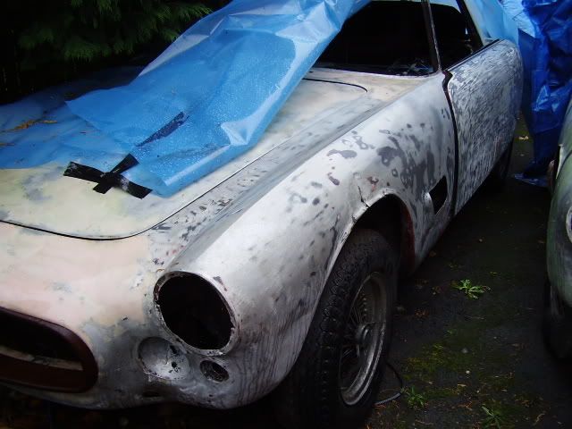 americanmuscle americanmuscle
