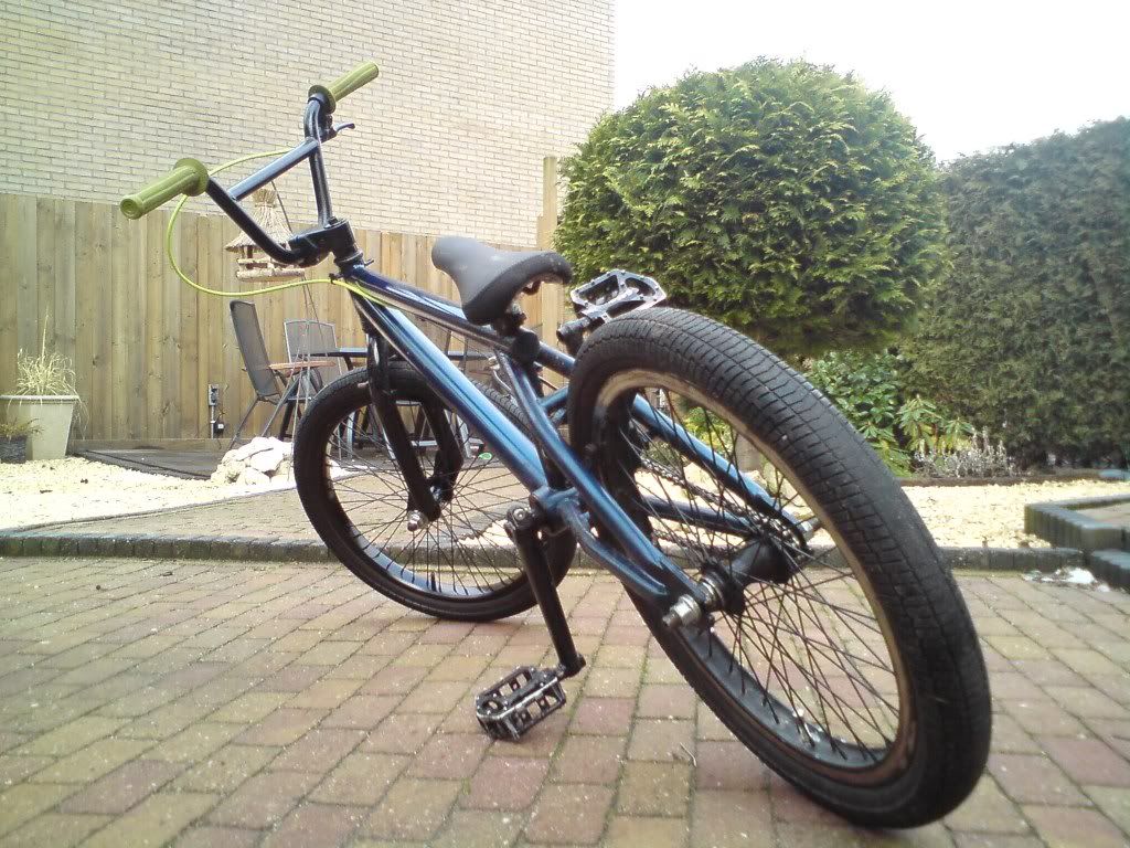 Afbeelding