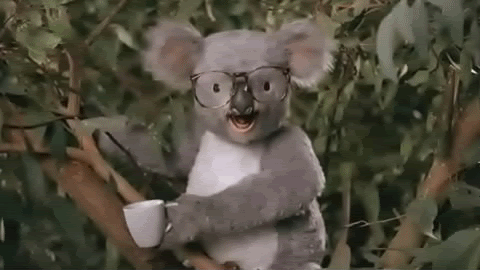 koala.gif