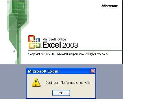 Loiexcel2003.jpg