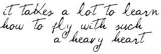 heavy heart