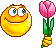 photo KissTulip.gif