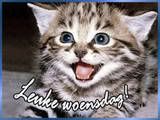 woensdag5.jpg