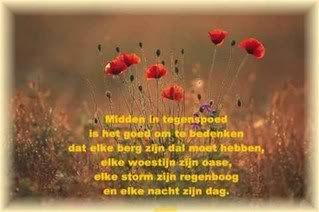krabbelstart.nl