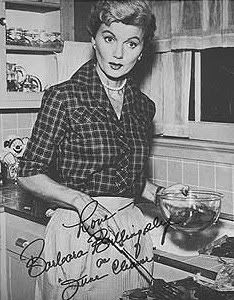 http://i271.photobucket.com/albums/jj154/cbarajas11/junecleaver.jpg