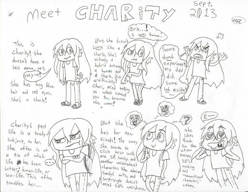 meet-charity-2013.png