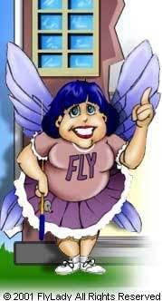 flylady_toon.jpg