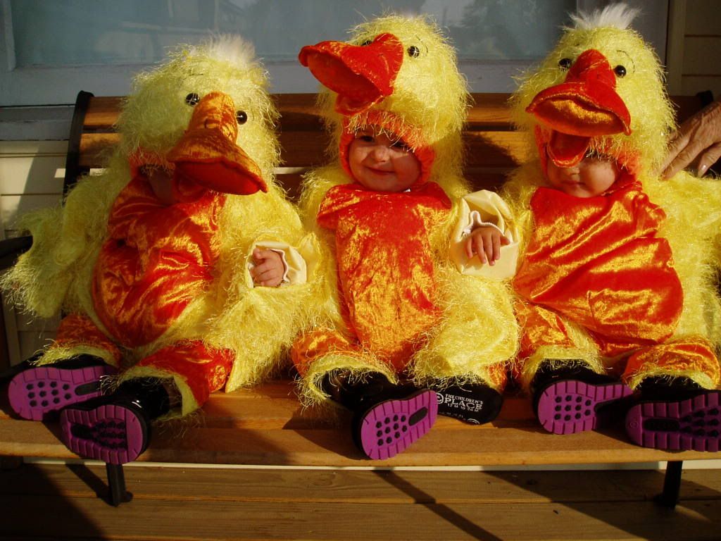 PA310008.jpg Halloween costumes image by brosspal