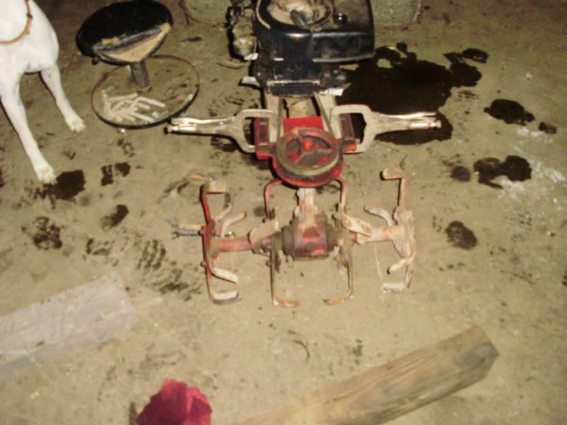 Posted Image