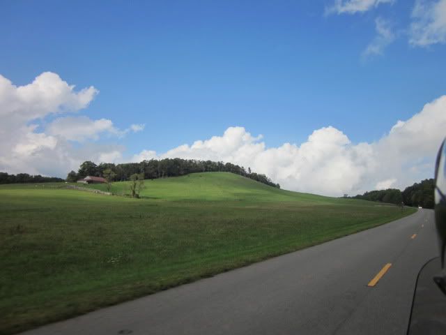 Posted Image