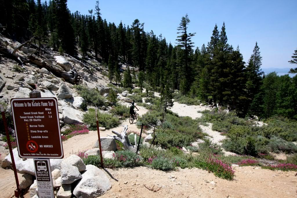 tahoe flume trail shuttle