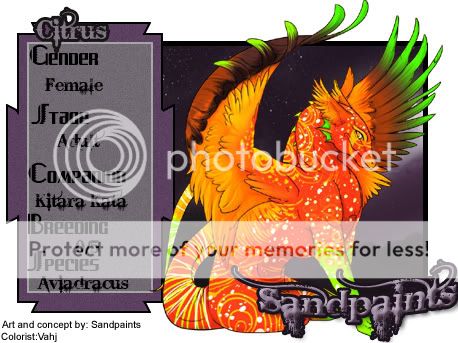 User Image