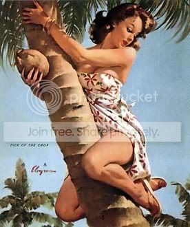 ClimbingCoconutTree.jpg
